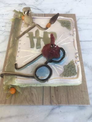 Harry-Potter-Buchtorte&hellip;